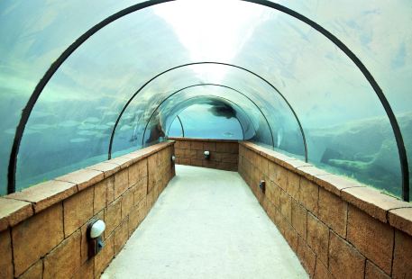 AQUATIS Aquarium-Vivarium