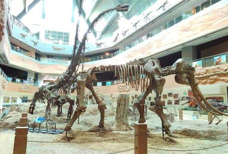 昌吉恐龍博物館