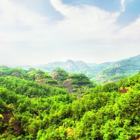 Wuyi Mountain Forest Park