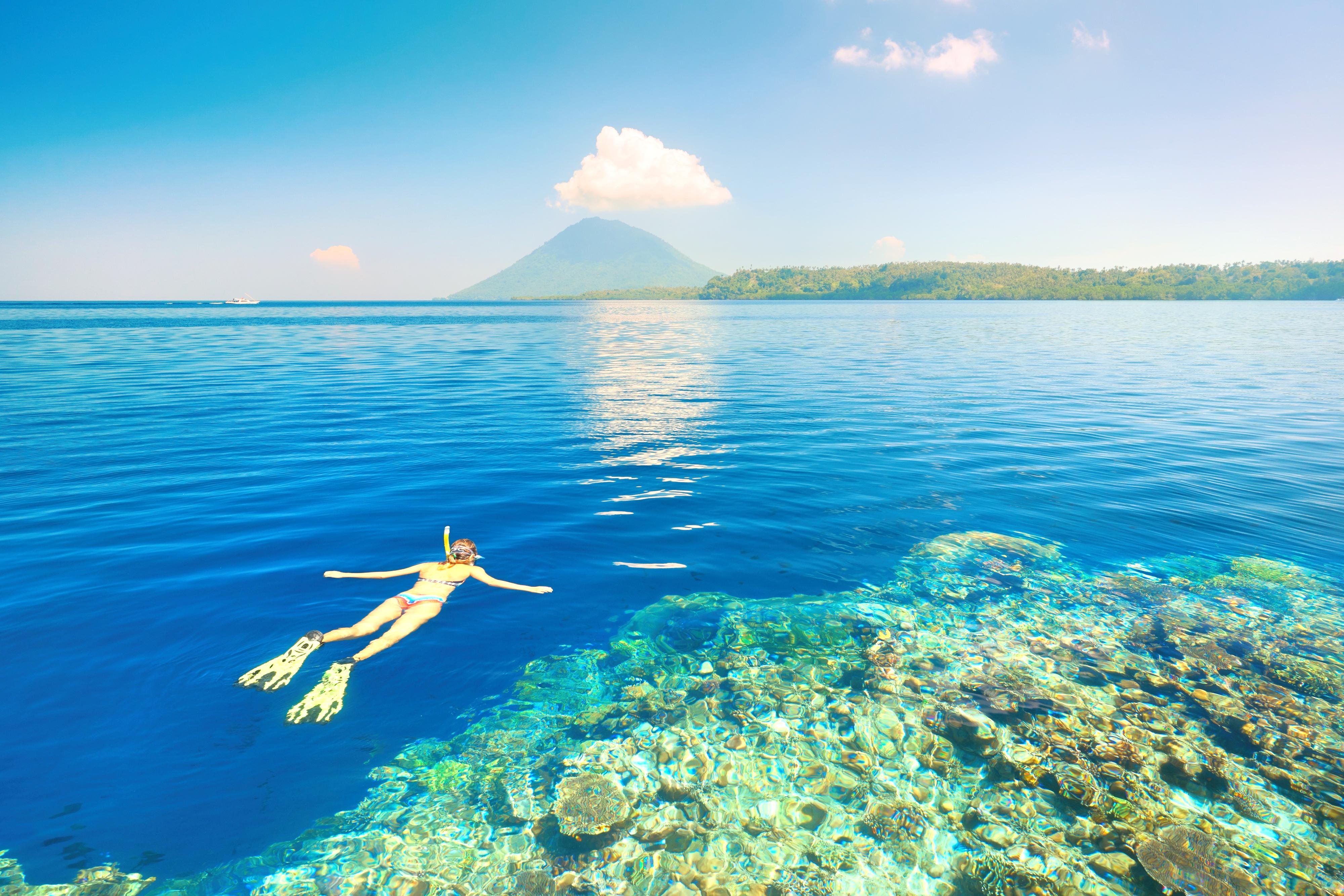 Manado The 6 Most Fun Things To Do In Manado Indonesia Trip101 The Marine Biodiversity Is