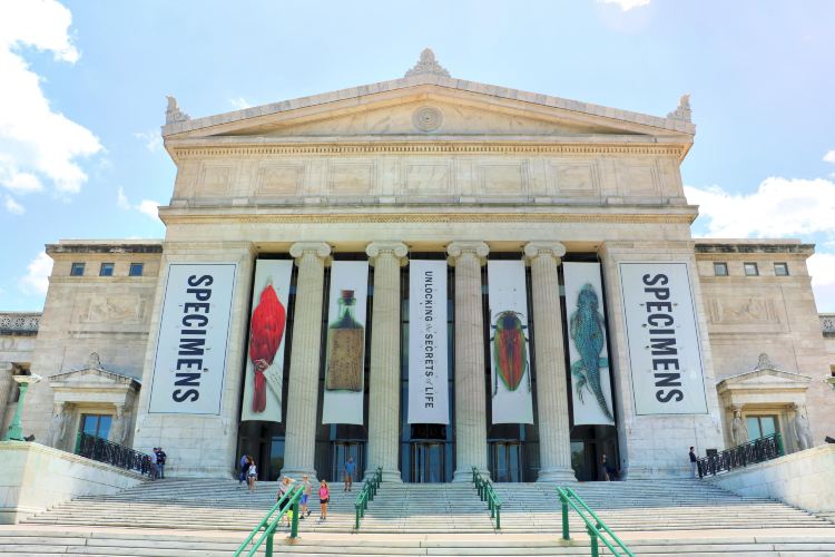 시카고 필드 박물관 정보 및 후기 트립닷컴