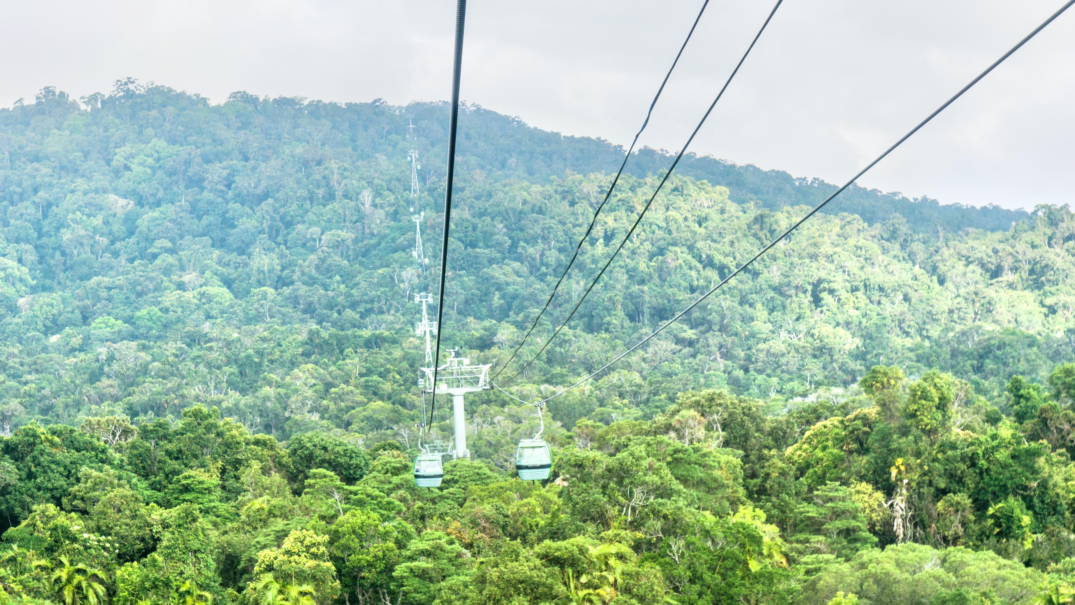 ケアンズ スカイレール レインフォレスト ケーブルウェイ 評判 案内 トリップドットコム