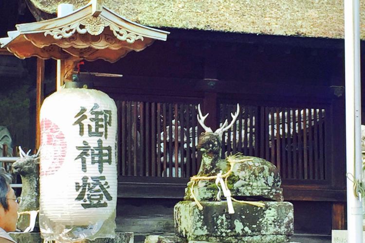 The 10 Best Things To Do Near Hieizan Enryaku Ji Temple Otsu