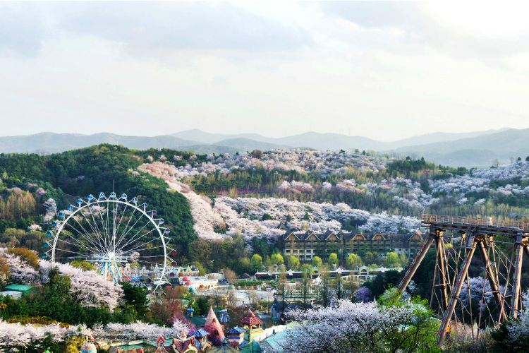 에버랜드 전경 2