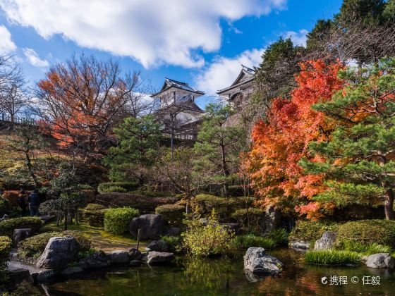 金沢の写真 金沢の旅行写真 Tripメモリーに投稿された素晴らしい観光スポットの写真