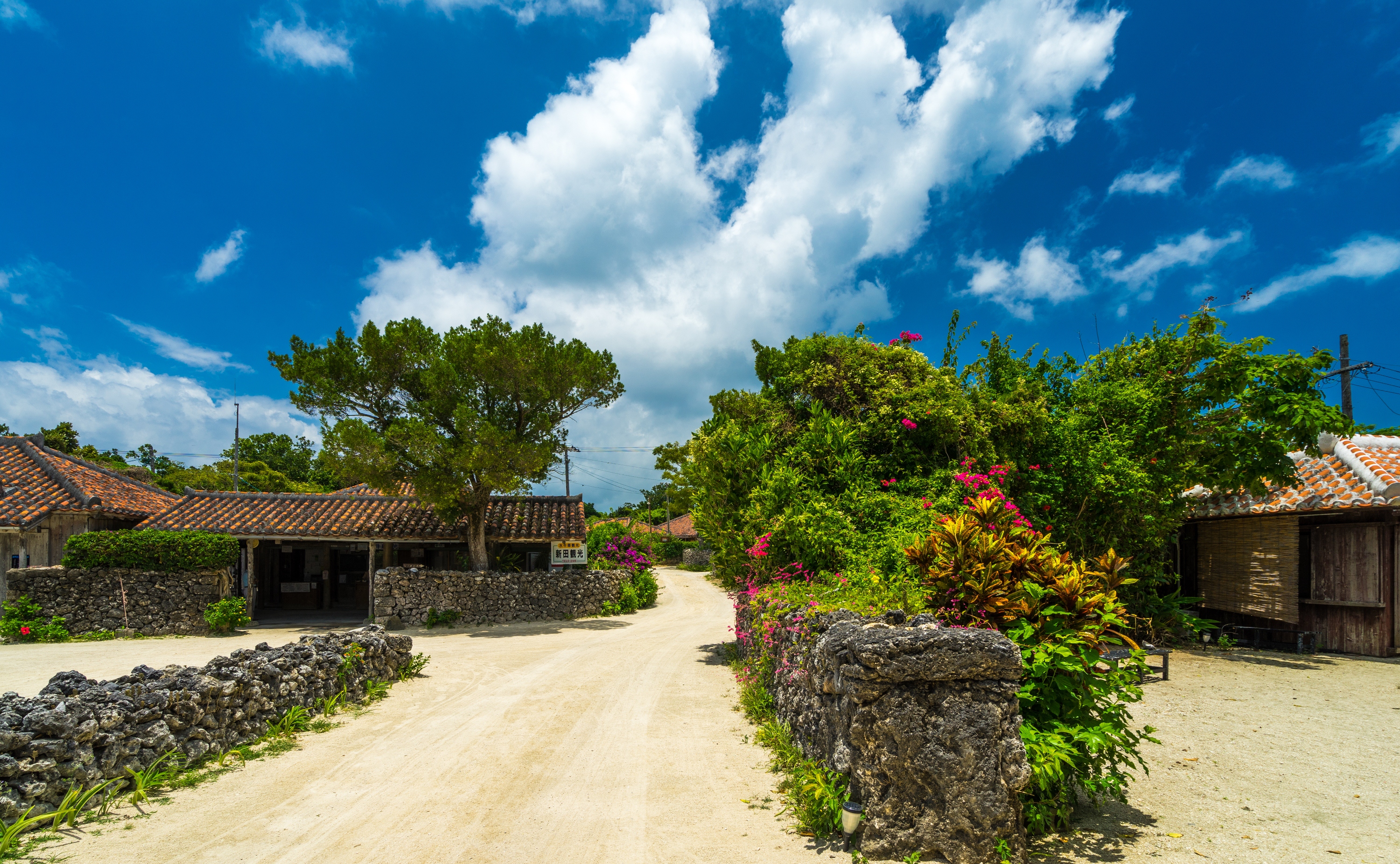 Taketomi Island Attraction Reviews Taketomi Island Tickets Taketomi Island Discounts Taketomi Island Transportation Address Opening Hours Attractions Hotels And Food Near Taketomi Island Trip Com