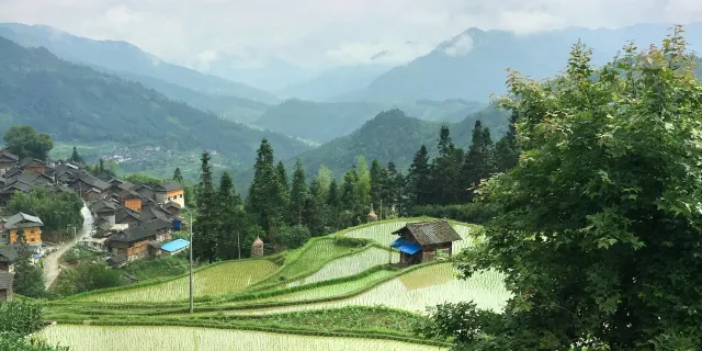 絶対に行くべき三都スイ族自治県の観光スポット トリップドットコム