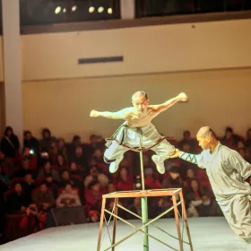 Shaolin Martial Arts Performance