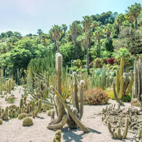巴塞羅那植物園