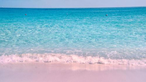 バハマの写真ギャラリー トリップドットコム