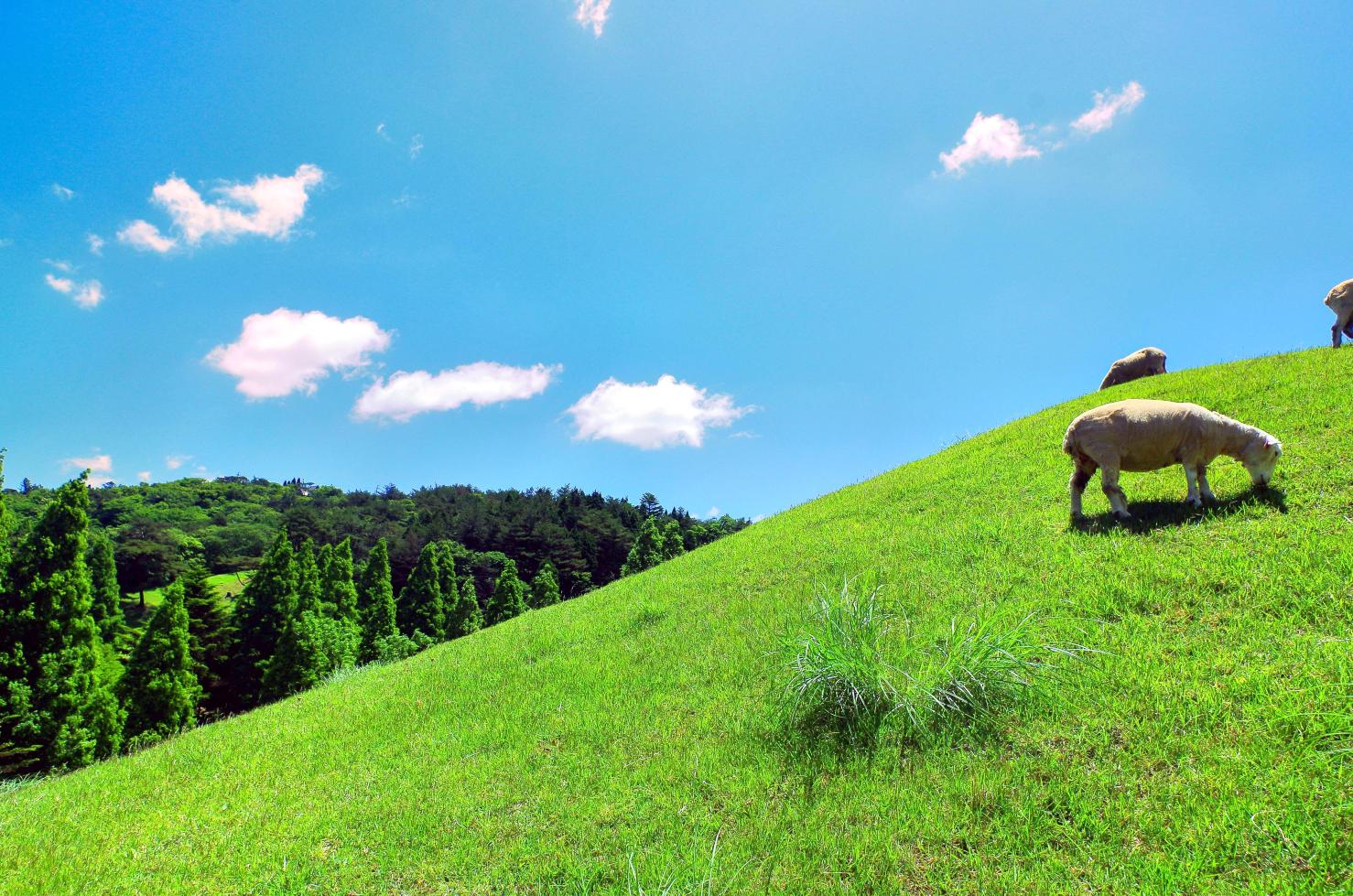 hachimaki observatory 钵巻展望台 滩区六甲山町南六甲 kobe, 兵库