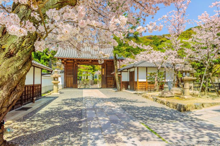 Kyoto Imperial Palace travel guidebook –must visit attractions in Kyoto – Kyoto Imperial Palace nearby recommendation – Trip.com