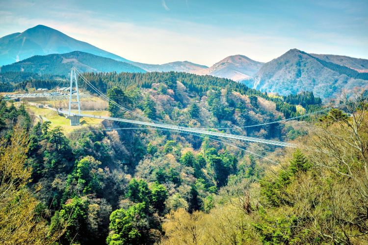 九重 夢 大吊橋旅遊攻略指南 九重 夢 大吊橋評價 九重 夢 大吊橋附近推薦 Trip Com