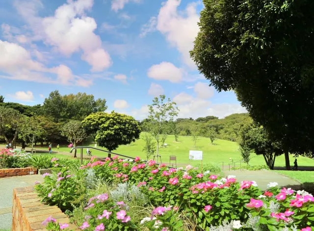Negishi Shinrin Park Travel Guidebook Must Visit Attractions In Yokohama Negishi Shinrin Park Nearby Recommendation Trip Com Negishi Shinrin Park Travel Guidebook Must Visit Attractions In Yokohama Negishi Shinrin Park Nearby Recommendation Trip Com