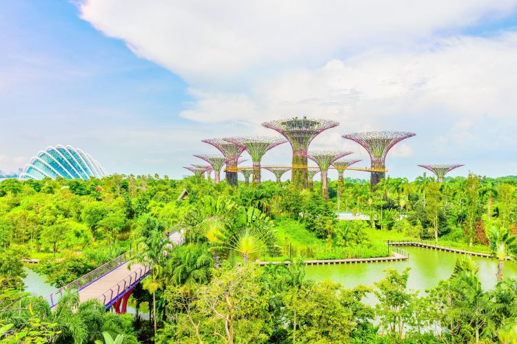 シンガポール スーパーツリーグローブ 評判 案内 トリップドットコム