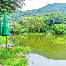 Fishing Pond