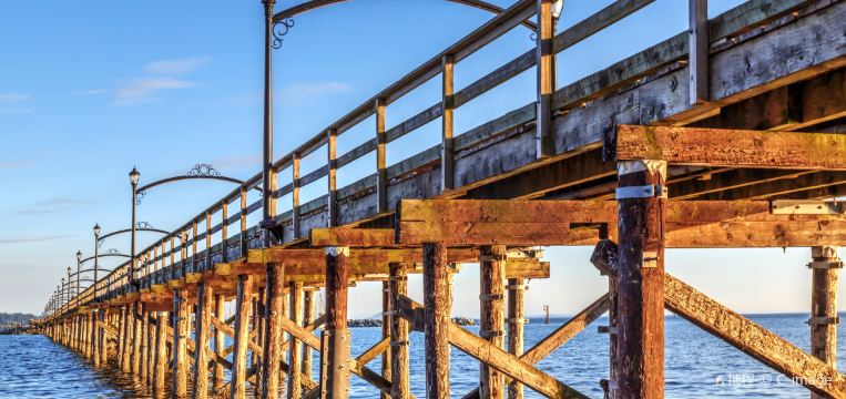 絶対に行くべきメトロバンクーバーの観光スポット トリップドットコム