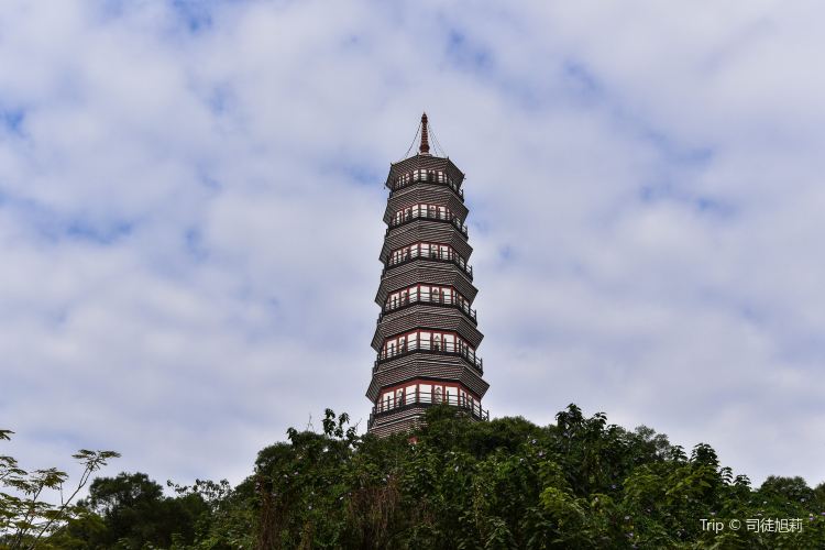 Pazhou Pagoda travel guidebook    must visit attractions Guangzhou