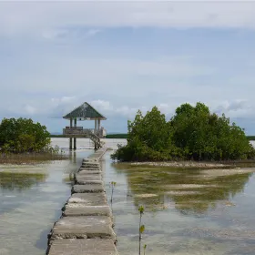 Olango Island Wildlife Sanctuary