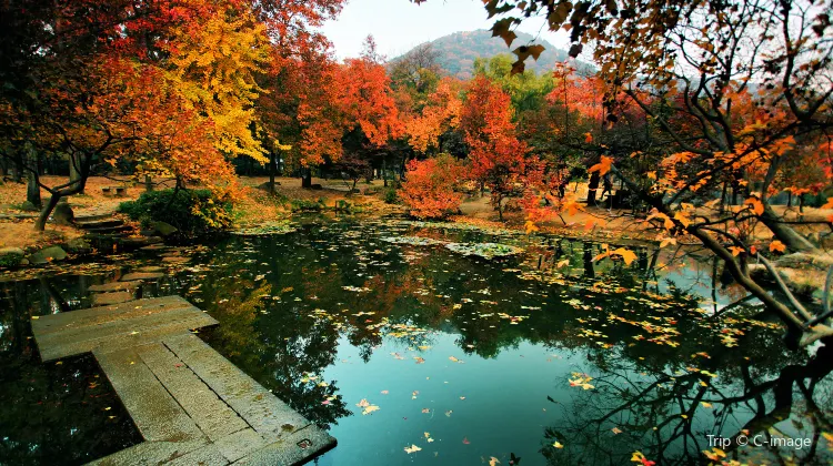 天平山旅遊攻略指南 天平山評價 天平山附近推薦 Trip Com