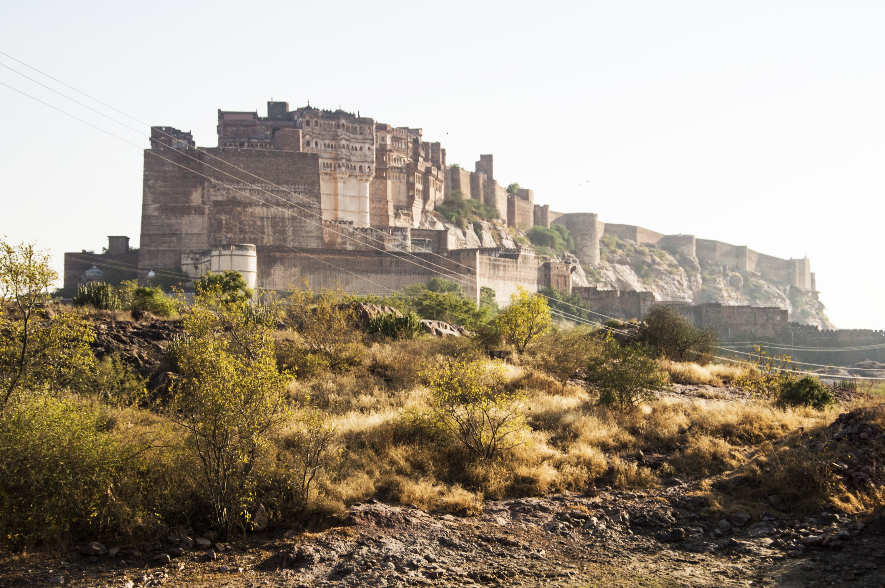 22年ジョードプルの人気観光スポット ジョードプルの旅行ガイド ジョードプルのおすすめ観光スポットのチケット ホテル 楽しみ方 グルメ レストラン Trip Com 22年ジョードプルの人気観光スポット ジョードプルの旅行ガイド ジョードプルのおすすめ観光スポットのチケット ホテル 楽しみ方 グルメ レストラン Trip Com