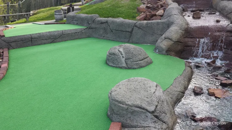 Shell We Golf