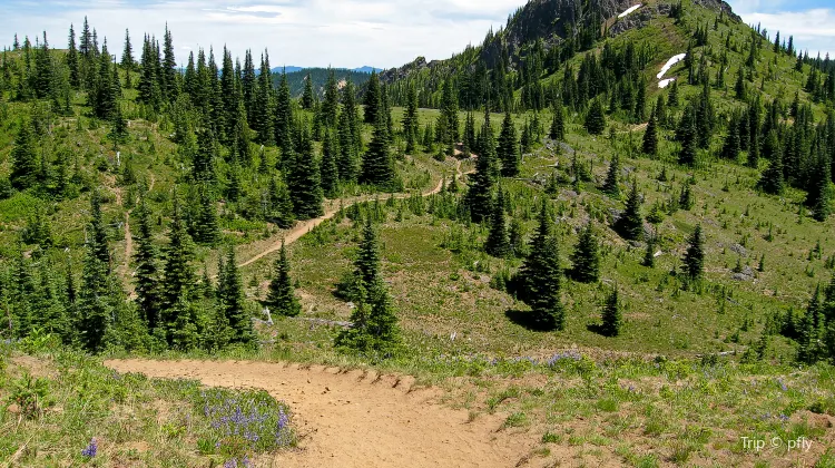 Summit At Snoqualmie Attraction Reviews Summit At Snoqualmie Tickets Summit At Snoqualmie Discounts Summit At Snoqualmie Transportation Address Opening Hours Attractions Hotels And Food Near Summit At Snoqualmie Trip Com