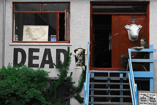 Dead Gallery Studio旅遊攻略指南 Dead Gallery Studio評論 Dead Gallery Studio附近推薦 Trip Com Dead Gallery Studio旅遊攻略指南 Dead Gallery Studio評論 Dead Gallery Studio附近推薦 Trip Com