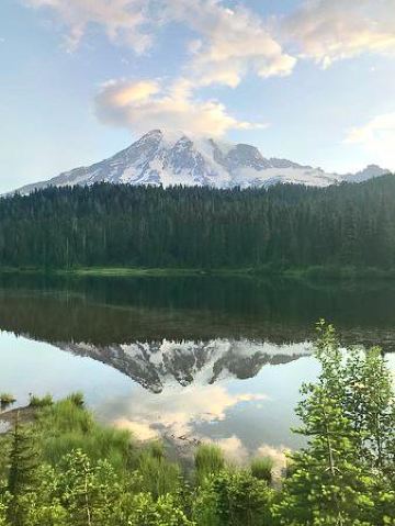 シアトル クーガー マウンテン リージョナル ワイルドランド パーク 評判 案内 トリップドットコム