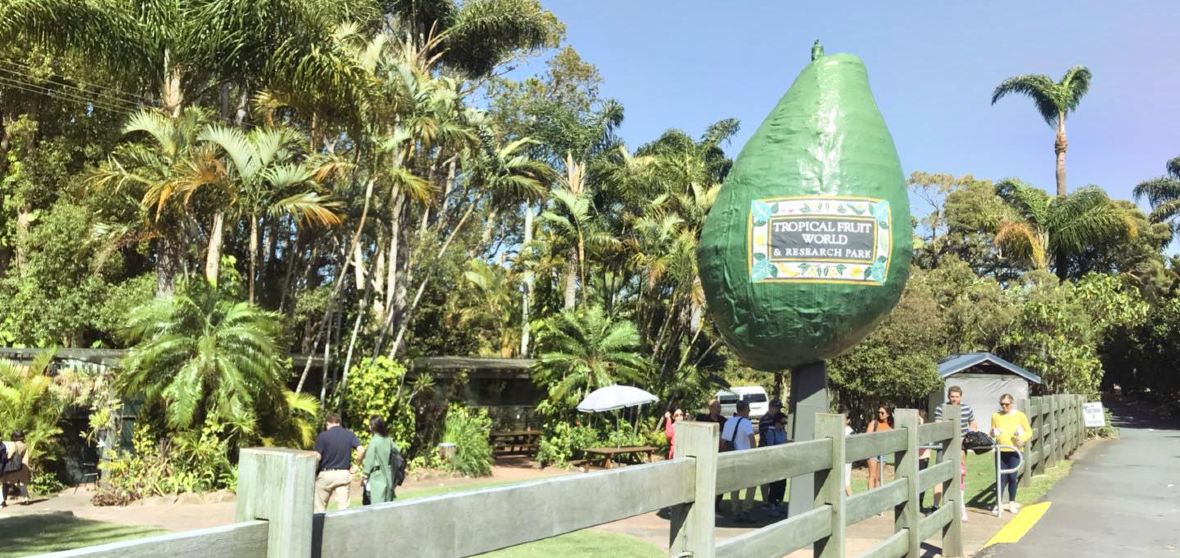 Stotts Creek Travel Guide 2023 Things to Do, What To Eat & Tips