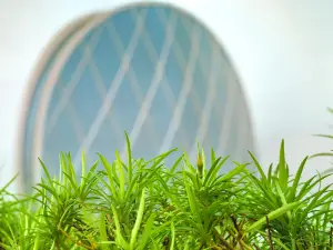 Aldar headquarters building