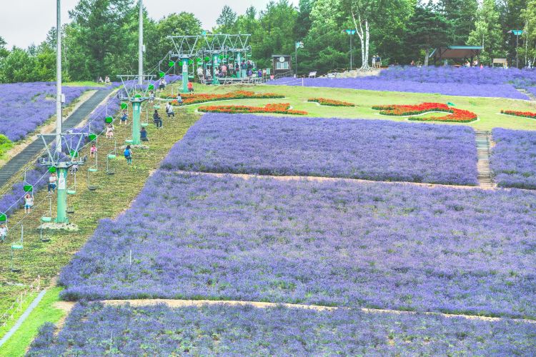 富良野 彩香の里 評判 案内 トリップドットコム