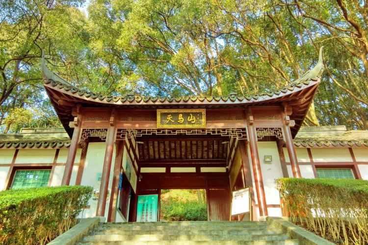 天馬山旅遊攻略指南 天馬山評價 天馬山附近推薦 Trip Com