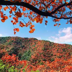 Ganshan Forest Park