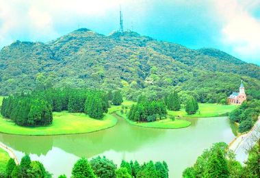 Darong Mountain Forest Park Popular Attractions Photos