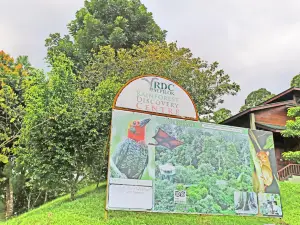 Sandakan Rainforest Discovery Centre (RDC)