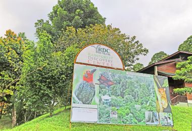 Sandakan Rainforest Discovery Centre (RDC) Popular Attractions Photos