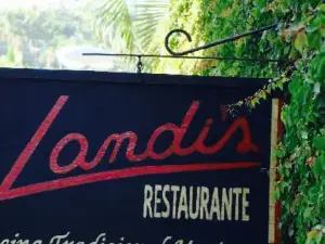 Landi's