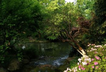 Gaomei Botanic Garden 명소 인기 사진