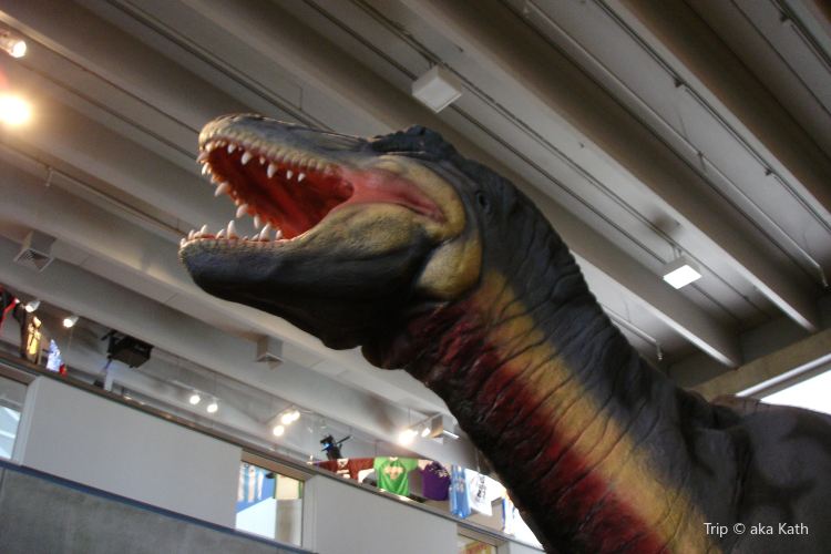 Saint Louis Science Center旅遊攻略指南 Saint Louis Science Center評論 Saint Louis Science Center附近推薦 Trip Com Saint Louis Science Center旅遊攻略指南 Saint Louis Science Center評論 Saint Louis Science Center附近推薦 Trip Com