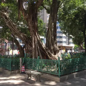 Miao Jie Gansu Jie Linshi Xiuqi Garden