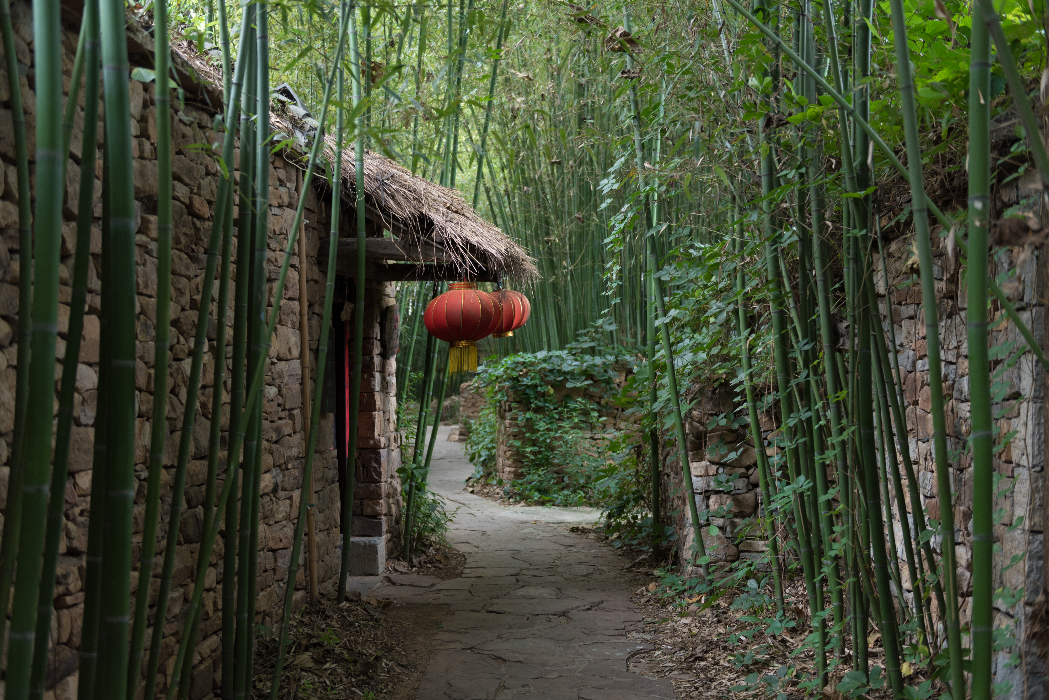 Bamboo Spring Village Photos Photos Of Yinan Attractions Trip Moments