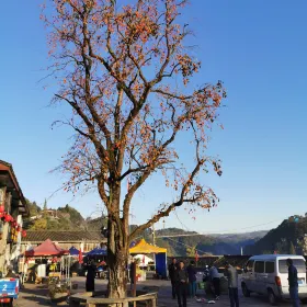 Shilin Village