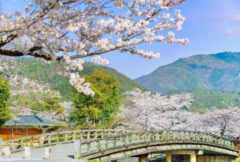 Arashiyama Park Popular Attractions Photos