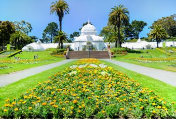 Golden Gate Park Popular Attractions Photos