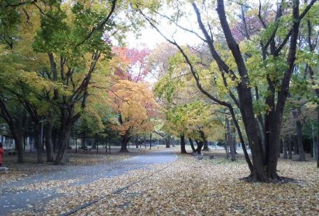 丸子山公園