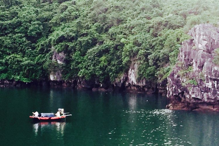 Paradise Elegance Cruise旅遊攻略指南 Paradise Elegance Cruise評價 Paradise Elegance Cruise附近推薦 Trip Com