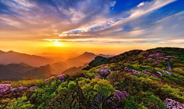 Jinfo Mountain