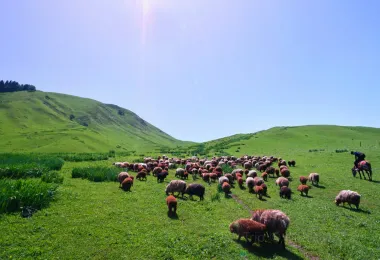 託乎拉蘇草原 熱門景點照片