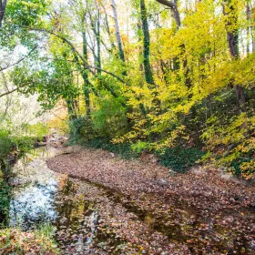 Blue Heron Nature Preserve